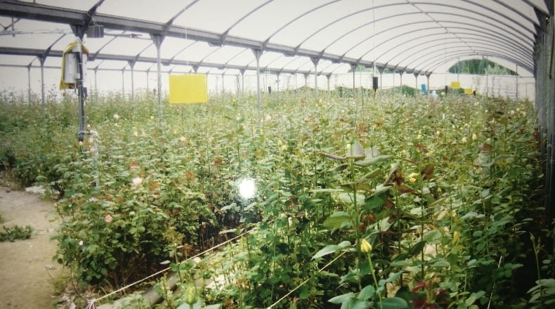 La Corunya - Cambre - 6330m2