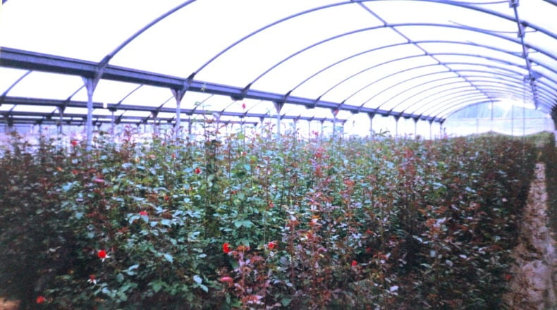 La Corunya - Cambre - 6330m2