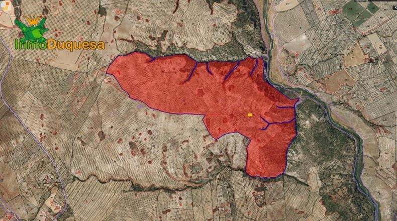 Granada - Loja - 1156703m2