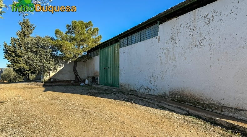 Granada - Loja - 1156703m2