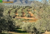 Finca rústica en venda a la polígono 3 parcela 51, Loja, ref.: TR100299 foto