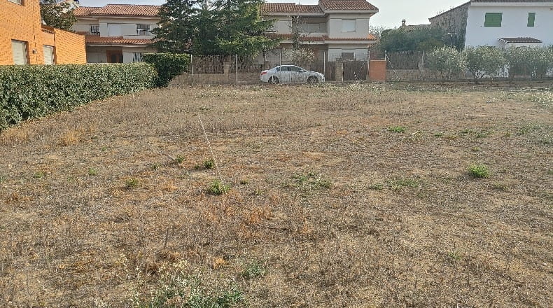 Lérida - Raimat - 450m2