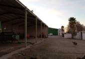 Casa de campo con terreno en venta en la camino de oria, Baza, ref: TR100296 foto
