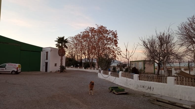 Granada - Baza - 120000m2