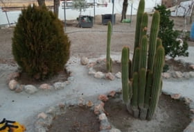 Foto 13