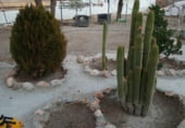 Casa de campo con terreno en venta en la camino de oria, Baza, ref: TR100296 foto