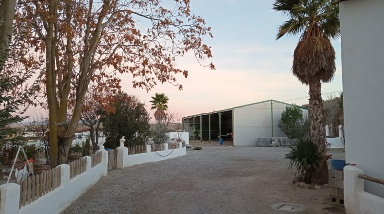 Granada - Baza - 120000m2