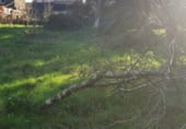 Земельный участок на продажу в городе Boiro Фото