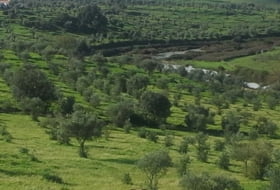 Olivença 450&nbsp;m² 