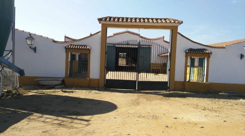 Badajoz - Olivenza - 450m2
