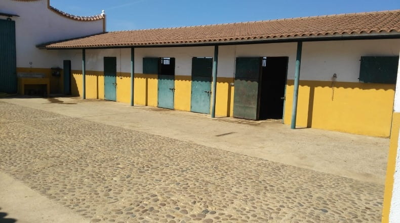 Badajoz - Olivenza - 450m2