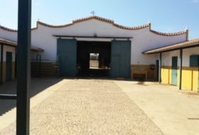 Olivença 450&nbsp;m² 