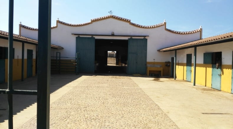 Badajoz - Olivenza - 450m2
