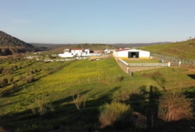 Olivença 450&nbsp;m² 