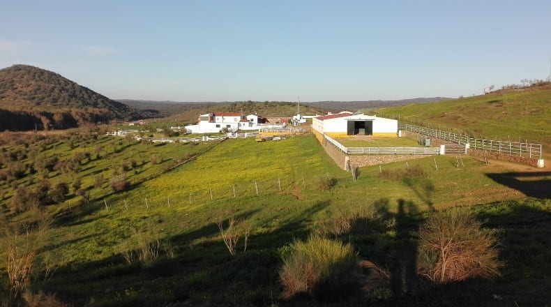 Badajoz - Olivenza - 450m2