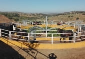Masía con terreno en venta en la camino de olivenza, Olivenza, ref: TR100909 foto