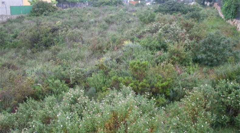 València - Alberique - 1850m2