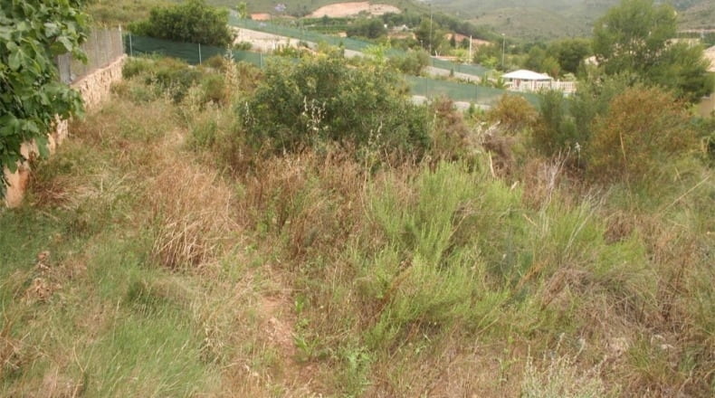 València - Alberique - 1850m2
