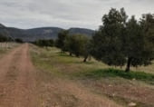 Non-developable land for sale on La Raña, Fuencaliente, ref: TR100912 photo