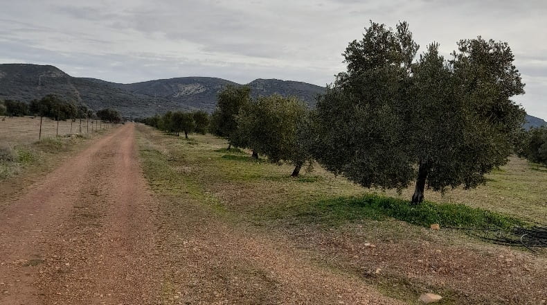 Ciudad Real - Fuencaliente - 160000m2