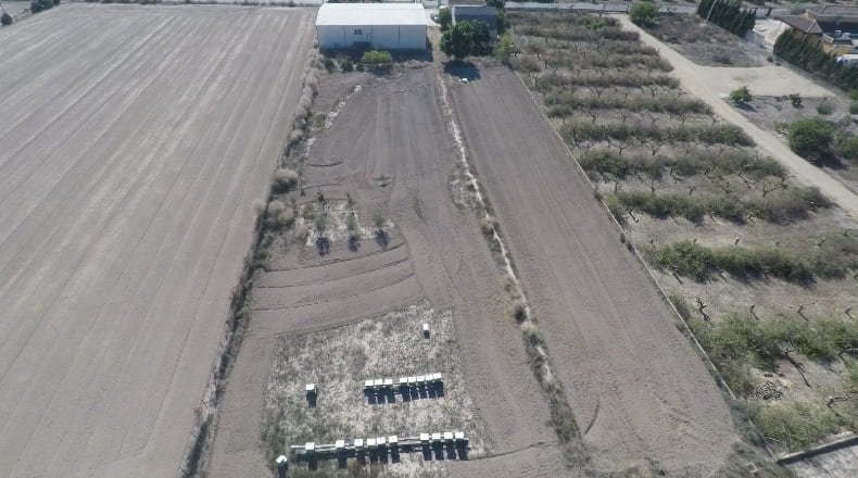 Alicante - Granja de Rocamora - 4000m2