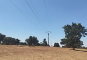 Non-developable land for rent on Plaza Barcelona 4, Bocacara, ref: TR101124 photo