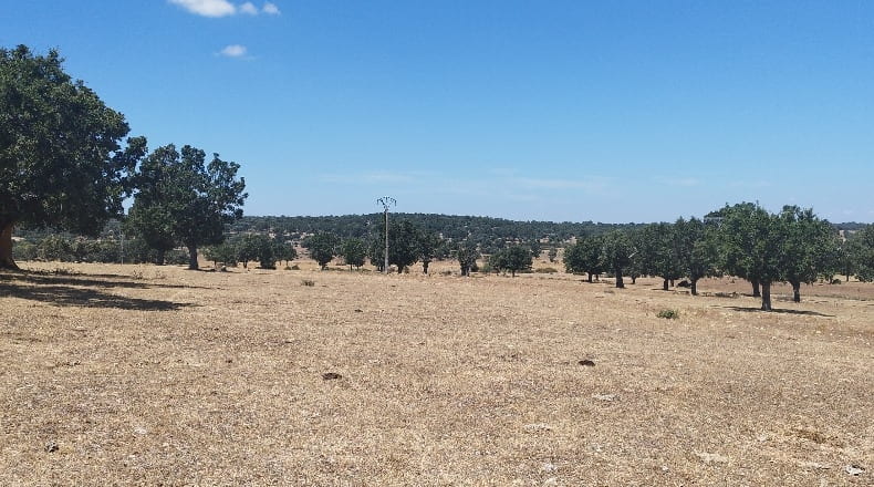 Salamanca - Bocacara - 240000m2