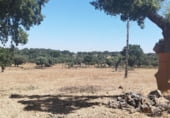 Non-developable land for rent on Plaza Barcelona 4, Bocacara, ref: TR101124 photo