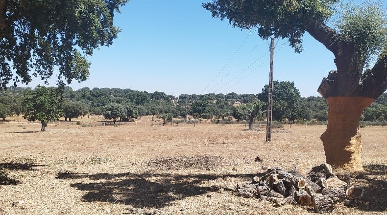 Salamanca - Bocacara - 240000m2