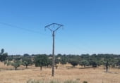 Non-developable land for rent on Plaza Barcelona 4, Bocacara, ref: TR101124 photo
