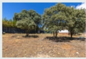 Land suitable for development for sale on Calle del Barranco del Soto, Chiloeches, ref: TR101121 photo