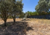Land suitable for development for sale on Calle del Barranco del Soto, Chiloeches, ref: TR101121 photo