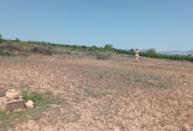 La Almunia de Doña Godina 16495&nbsp;m² 