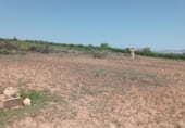 Non-developable land for sale on Carretera de Alpartir, La Almunia de Doña Godina, ref: TR101126 photo