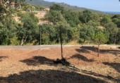 Suelo urbano en venta en la Carrer de Calella de Palafrugell, Lloret de Mar, ref: TR101917 foto