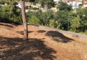 Suelo urbano en venta en la Carrer de Calella de Palafrugell, Lloret de Mar, ref: TR101917 foto