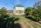 Industrial warehouse for sale on A-420, Marmolejo, ref: TR102024 photo