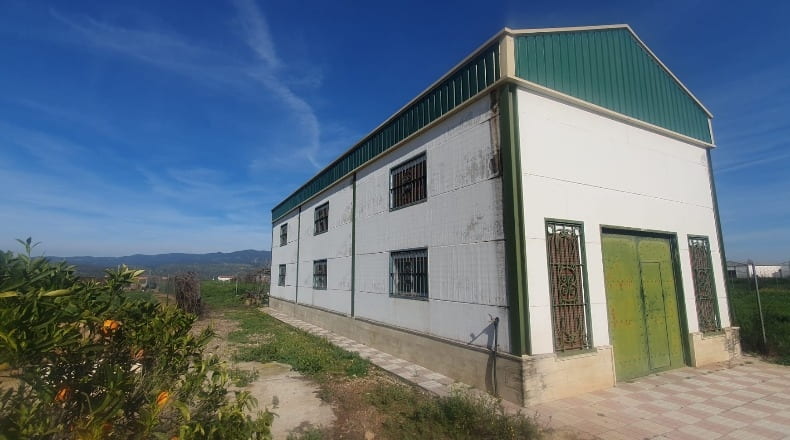 Jaen - Marmolejo - 14666m2