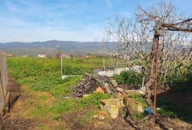 Marmolejo 14666&nbsp;м²