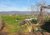 Industrial warehouse for sale on A-420, Marmolejo, ref: TR102024 photo