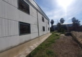 Industrial warehouse for sale on A-420, Marmolejo, ref: TR102024 photo