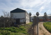 Industrial warehouse for sale on A-420, Marmolejo, ref: TR102024 photo