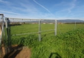 Industrial warehouse for sale on A-420, Marmolejo, ref: TR102024 photo
