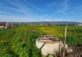 Industrial warehouse for sale on A-420, Marmolejo, ref: TR102024 photo
