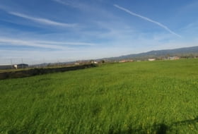 Marmolejo 14666&nbsp;м²