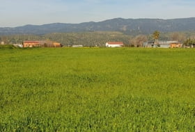 Marmolejo 14666&nbsp;м²