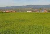 Industrial warehouse for sale on A-420, Marmolejo, ref: TR102024 photo