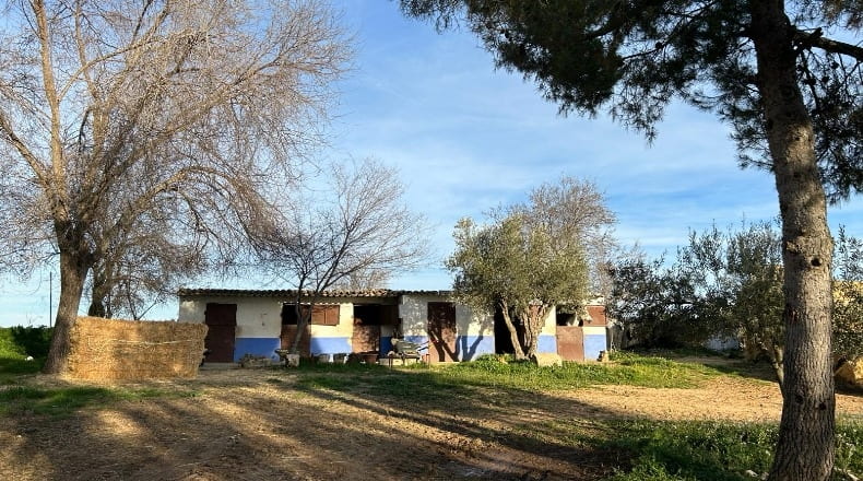 Guadalajara - Mondéjar - 3000m2