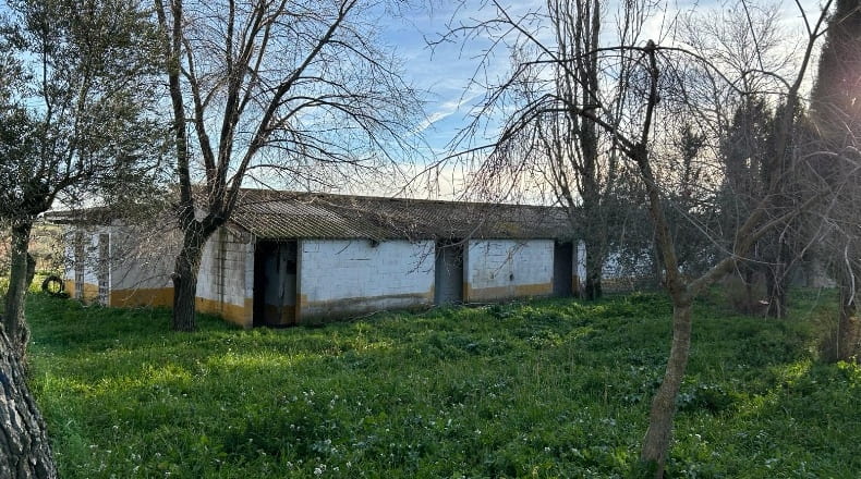 Guadalajara - Mondéjar - 3000m2