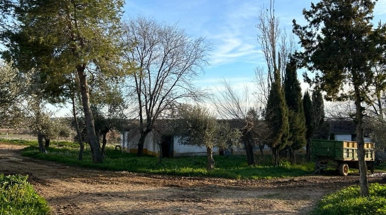 Guadalajara - Mondéjar - 3000m2